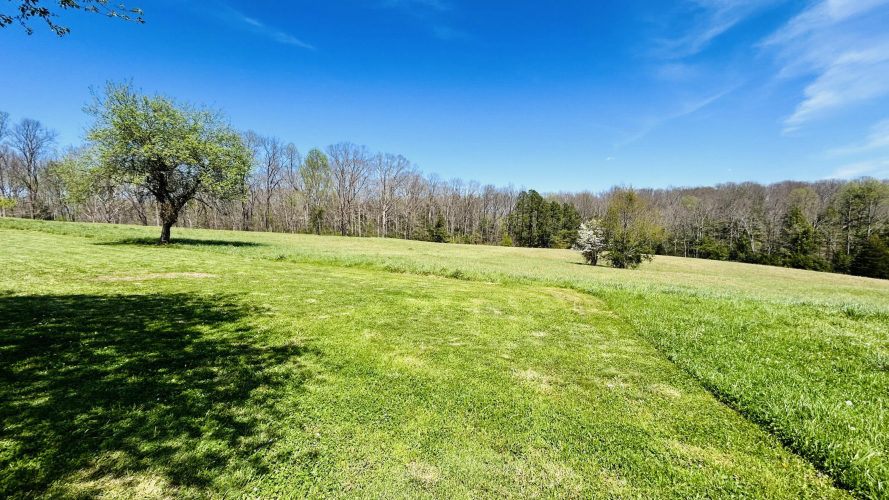 Listing Image 45