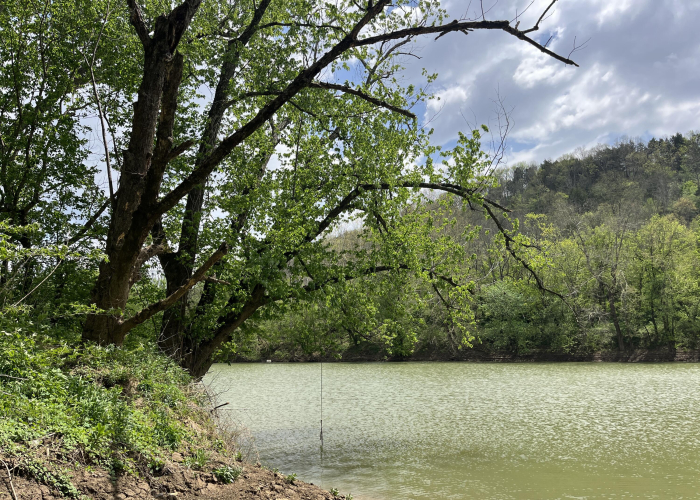 Listing Image 16