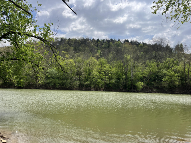 Listing Image 21