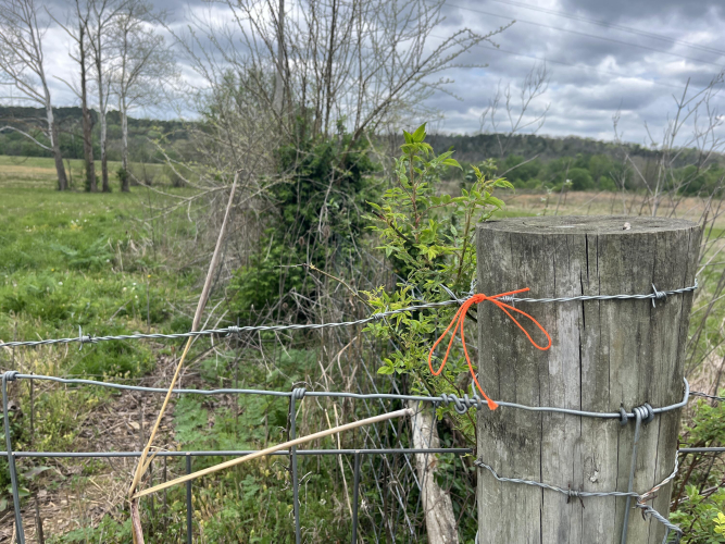 Listing Image 17