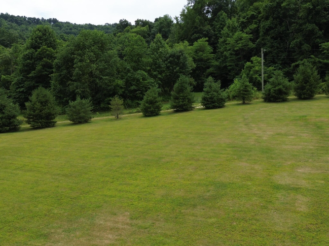 Listing Image 37
