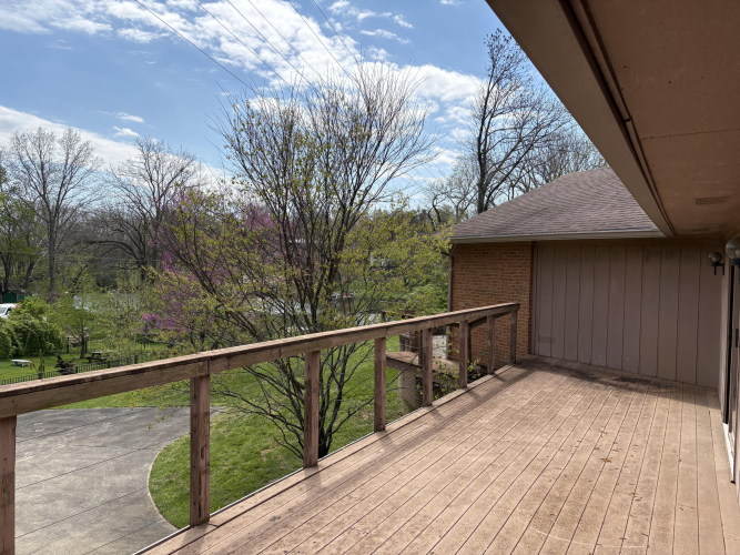 Listing Image 81