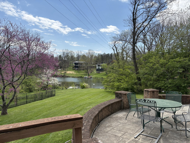 Listing Image 86