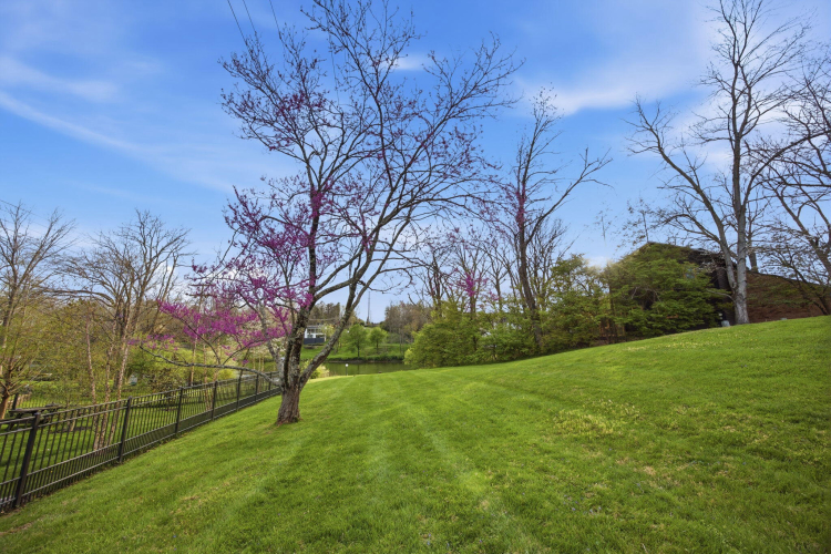 Listing Image 87
