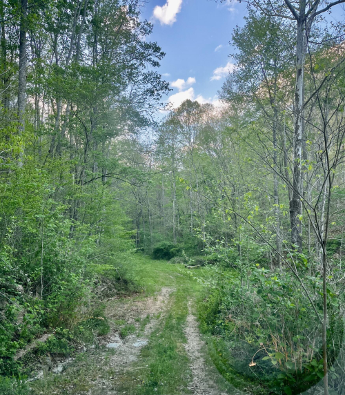 Listing Image 11