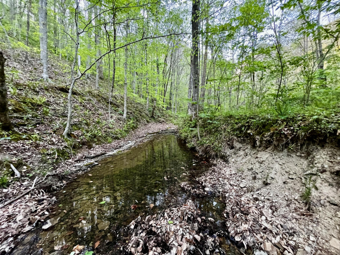 Listing Image 16