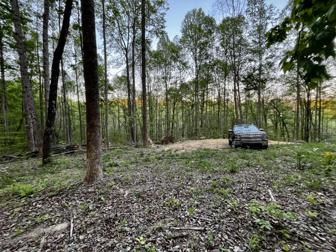 Listing Image 18