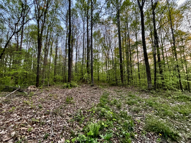 Listing Image 21