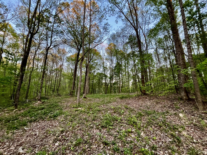 Listing Image 22