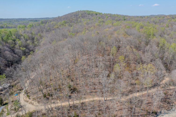 Listing Image 5
