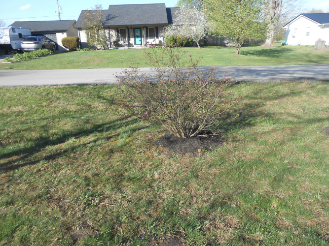 Listing Image 37
