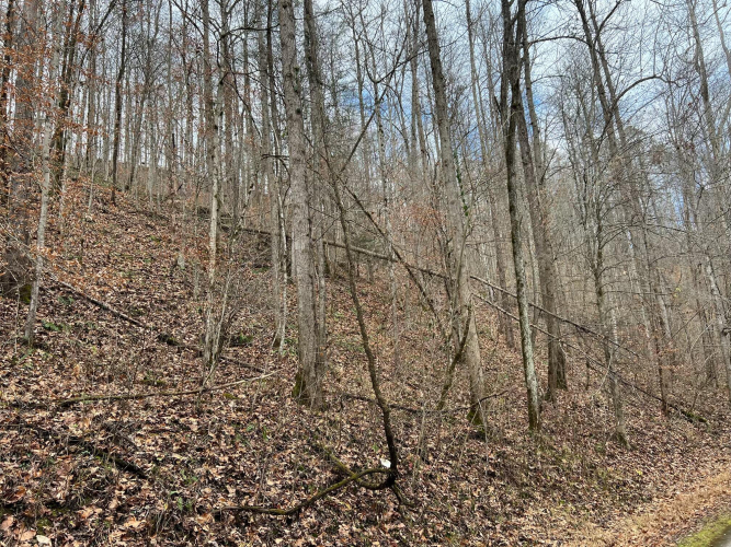 Listing Image 11