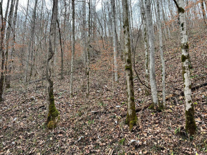 Listing Image 4