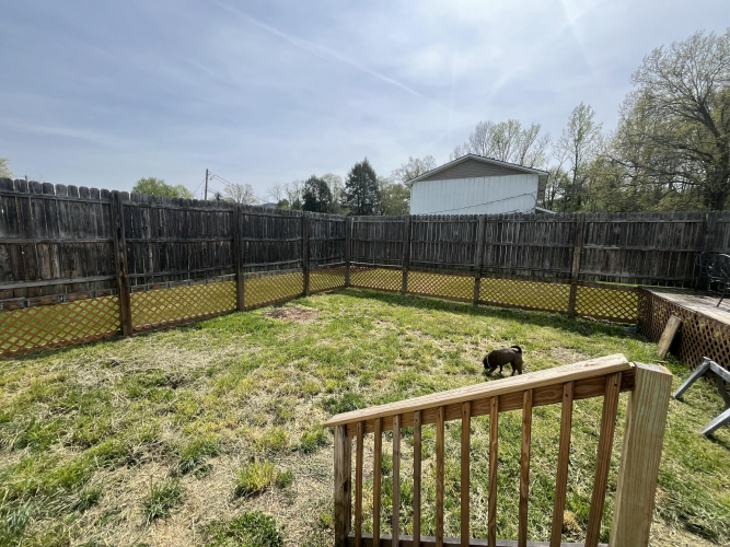 Listing Image 68