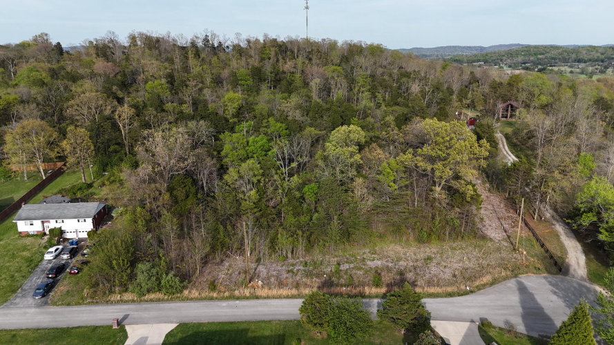 Listing Image 11