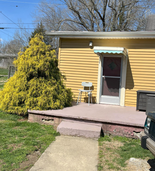 Listing Image 19