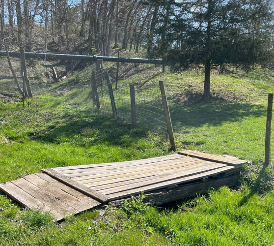 Listing Image 23