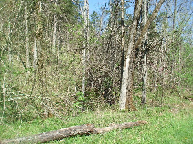 Listing Image 4