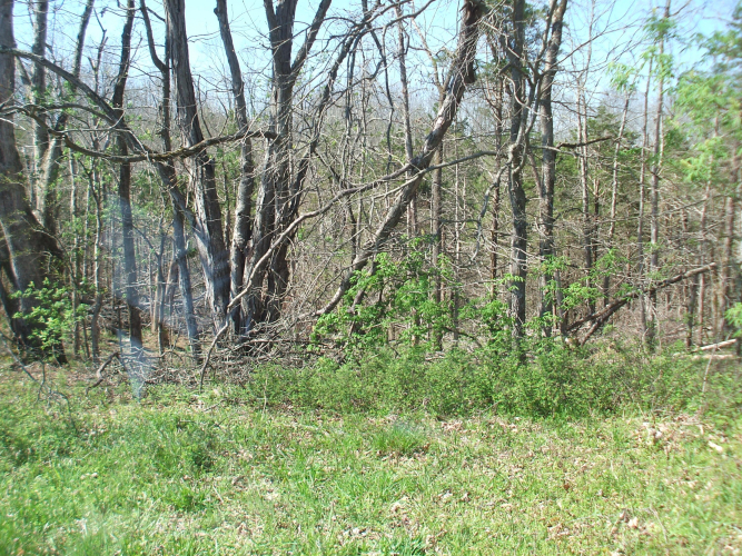 Listing Image 8