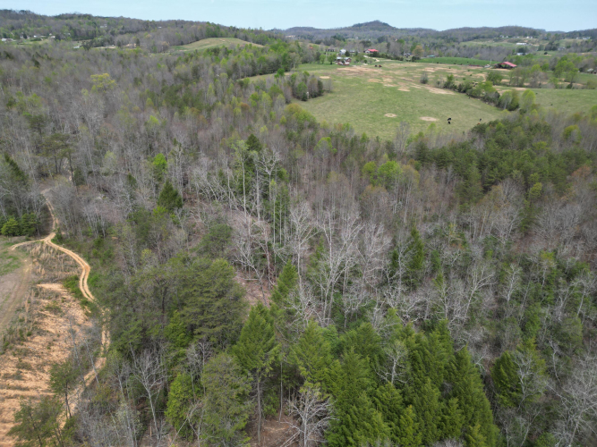 Listing Image 9