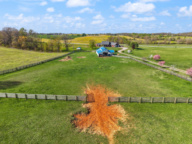 Listing Image 154