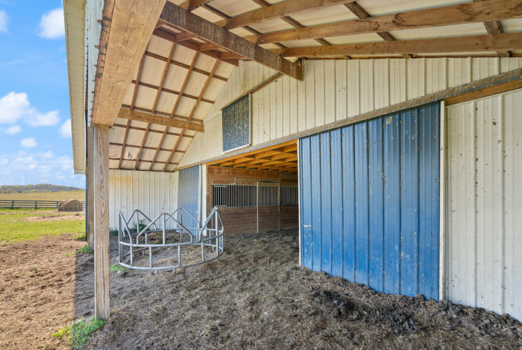 Listing Image 179