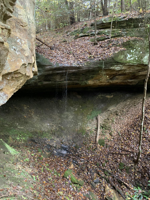 Listing Image 23
