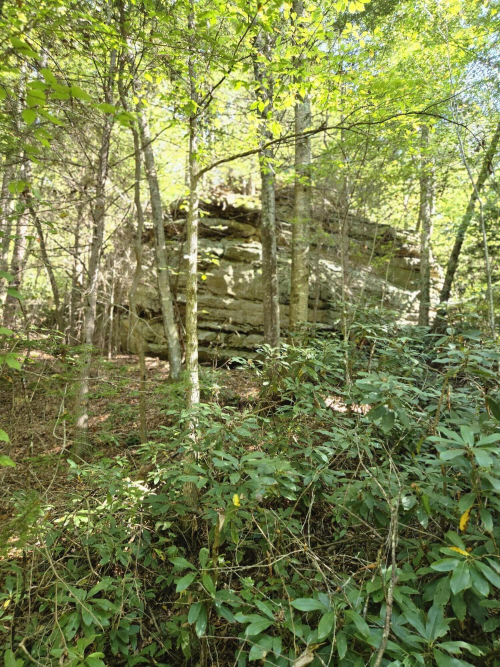 Listing Image 24