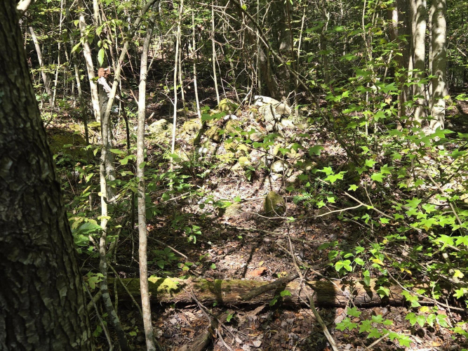 Listing Image 26