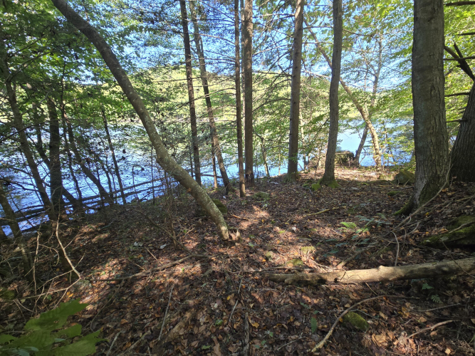 Listing Image 27