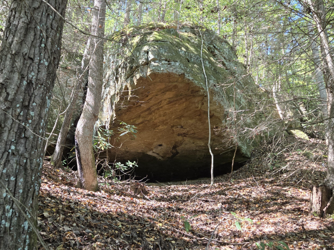 Listing Image 28
