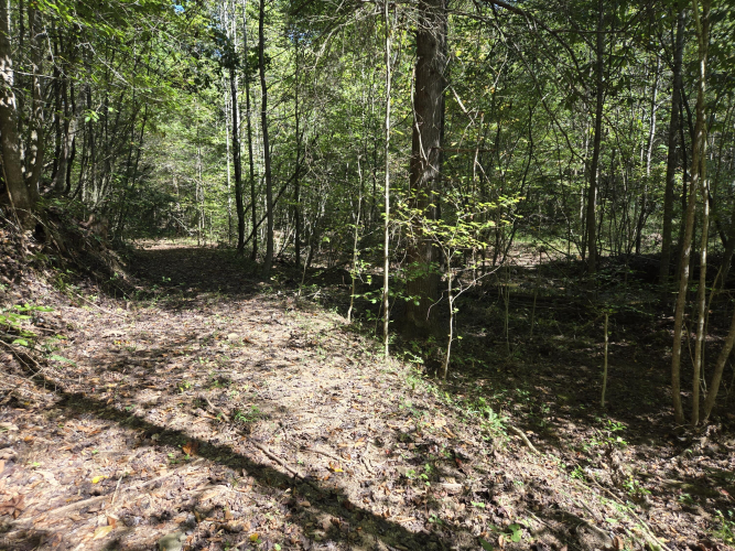 Listing Image 29