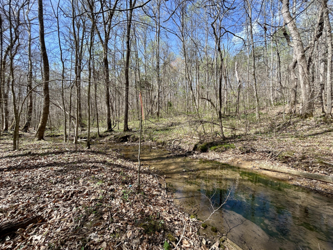 Listing Image 107