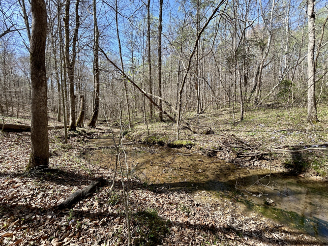 Listing Image 109