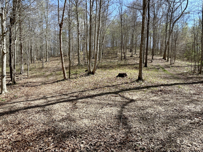 Listing Image 111