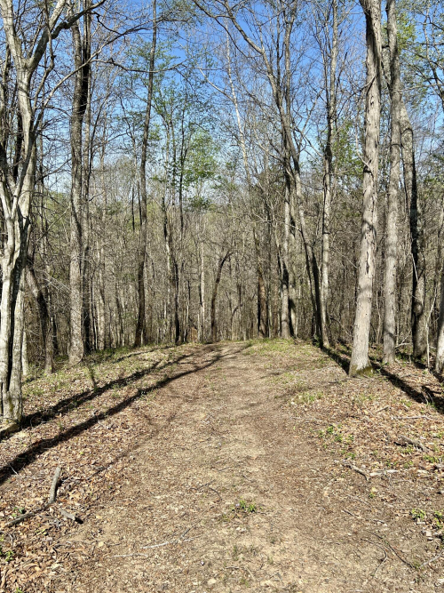 Listing Image 118