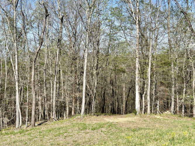 Listing Image 119