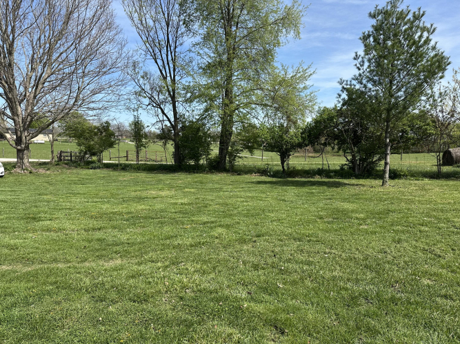 Listing Image 18