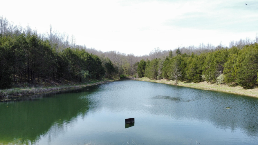 Listing Image 13