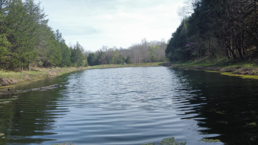 Listing Image 14