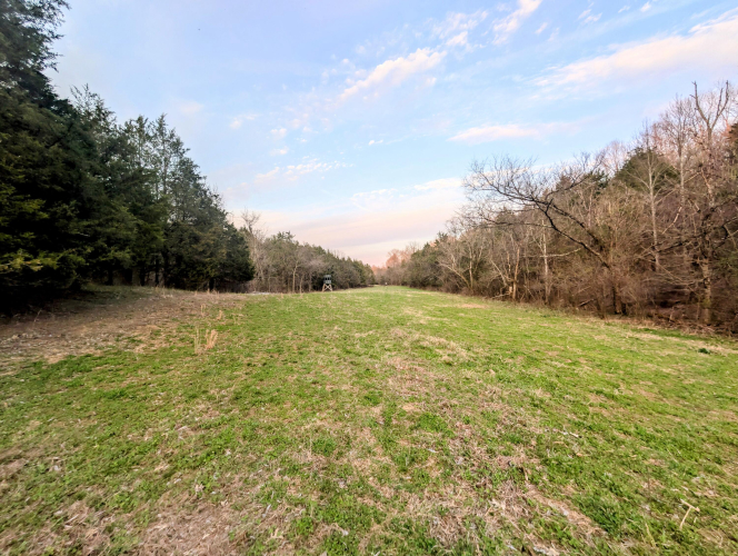 Listing Image 17