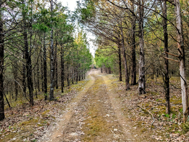 Listing Image 24