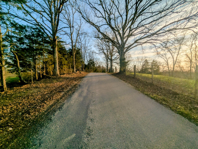 Listing Image 27
