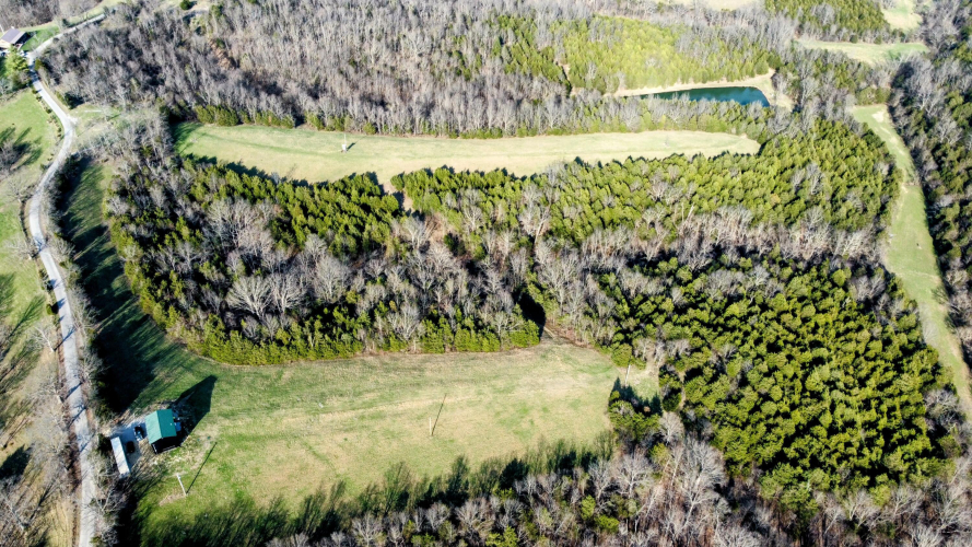 Listing Image 6