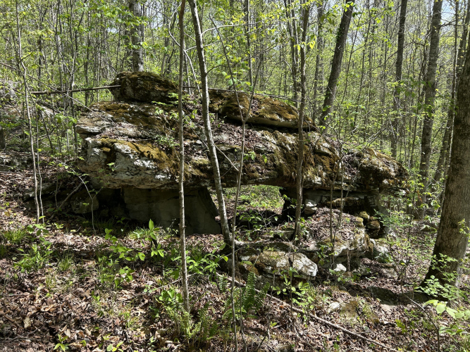 Listing Image 3