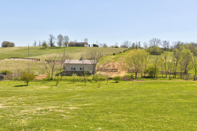 Listing Image 57