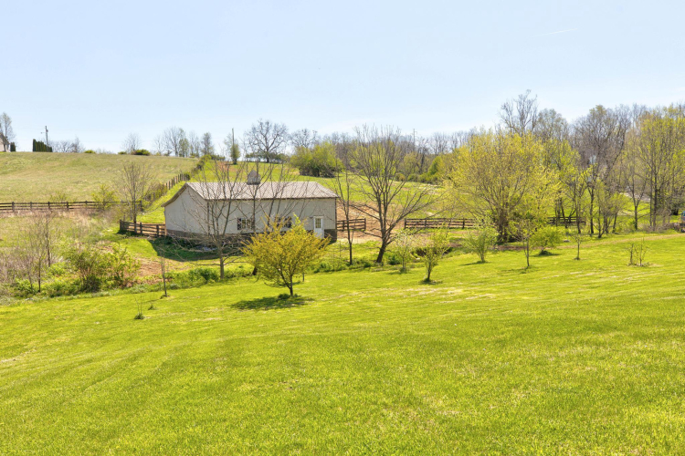 Listing Image 62