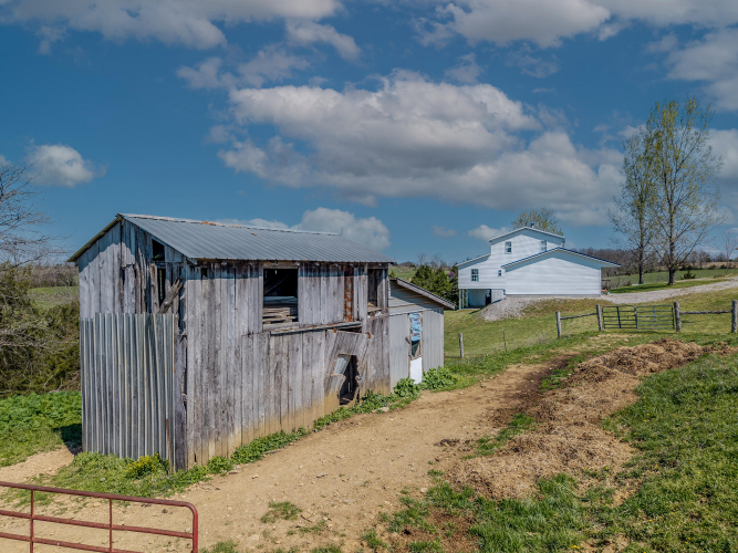 Listing Image 13