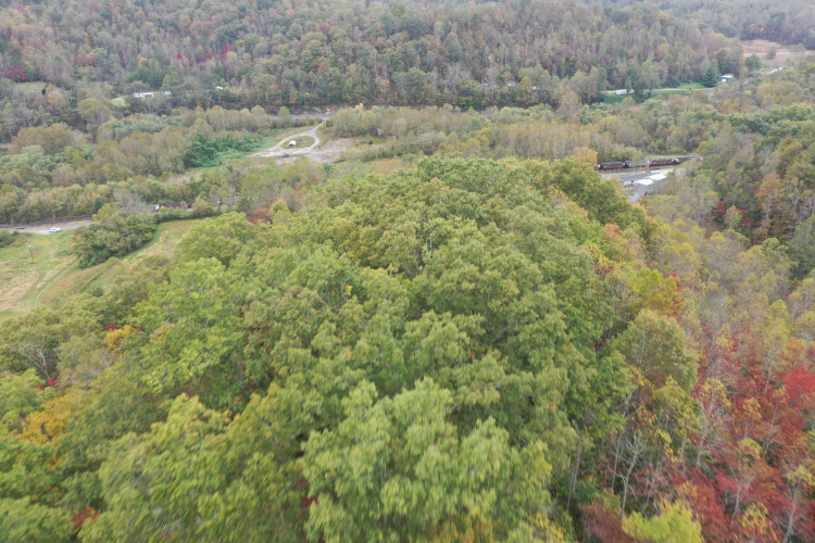 Listing Image 11