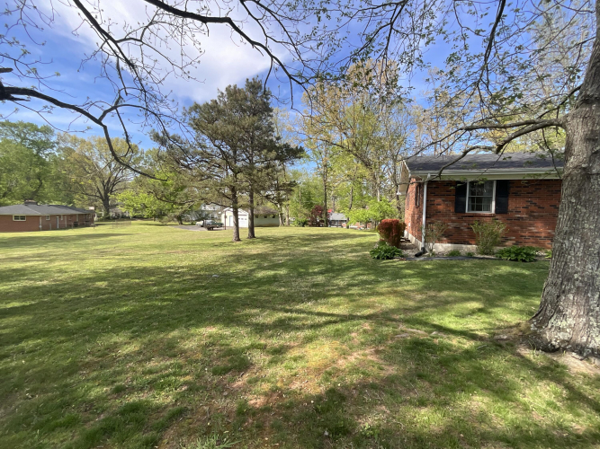Listing Image 53